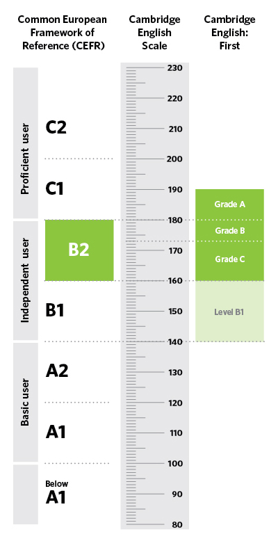 FCE Scale.jpg